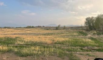 1111 Buckskin Run, Challis, ID 83226