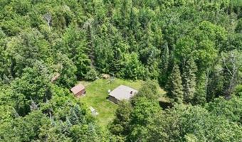 6002 Wildwood, Alger, MI 48610