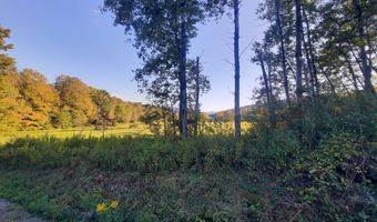 Upper Dingle Hill Road, Andes, NY 13731
