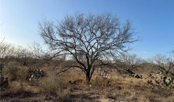 CR 119 lot 0, Alice, TX 78332