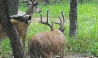160 Jones Creek Rd, McAlester, OK 74501