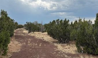78 County Road 8010, Concho, AZ 85924