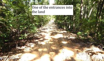 330 County Road 245, Abbeville, MS 38601