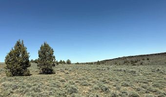 Warner HWY 140 TL 1100, Adel, OR 97620