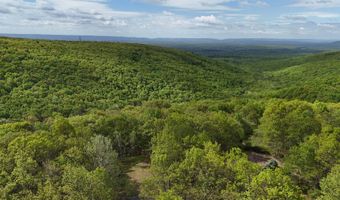 Arciel Drive, Albrightsville, PA 18210