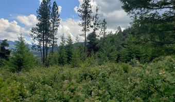Arlee Pines lot 21, Arlee, MT 59821