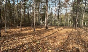 2423 Mill Creek Rd, Bethune, SC 29009