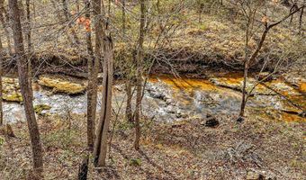 1603 Coon Hunt Rd, Baxter, TN 38544