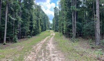 TBD County Road 40, Abbeville, AL 36310