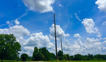 0 N County Rd. 75, Ashford, AL 36312