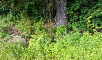 Mat Morrow Road, Arab, AL 35016