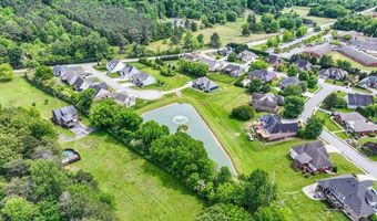 10589 Brownspring Dr 114, Apison, TN 37302
