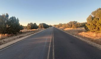 1 COUNTY ROAD N8155, Concho, AZ 85924
