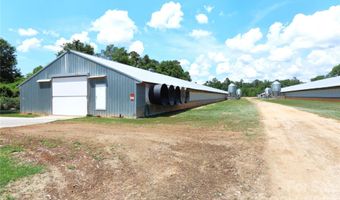 2121 Whitetail Rd, Blackville, SC 29817