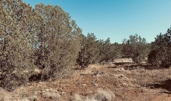 Terry Lane, Ash Fork, AZ 86046