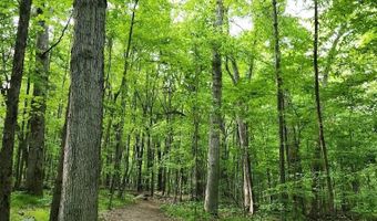 8548 Conservation St NE, Ada, MI 49301