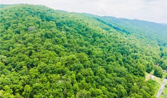 123 N Fork River Rd, Abingdon, VA 24210