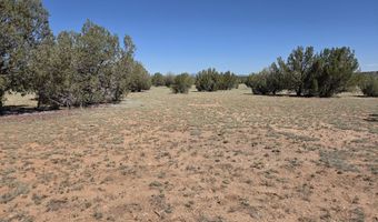 42650 N Wayne Rd, Ash Fork, AZ 86320