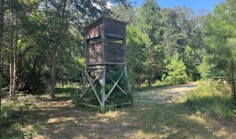 2672 Big Fork Rd, Barnwell, SC 29812