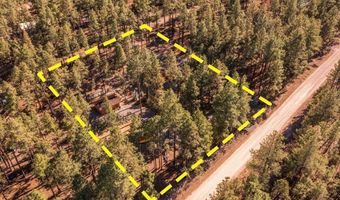 24 County Rd 2267, Alpine, AZ 85920