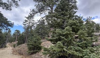 636 Mountain Center 35-0002, Mountain Center, CA 92561