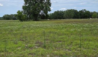 000 15th St, Bell, FL 32619