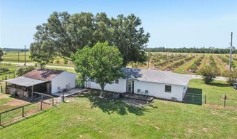 8880 SHRECK Rd, Bartow, FL 33830