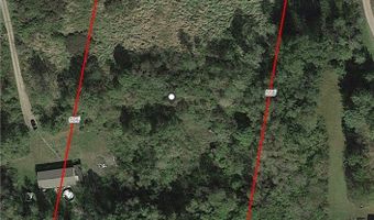 Algerine Street, Afton, NY 13730