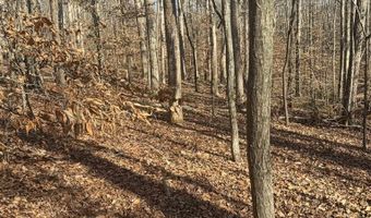 0 Rambler Ln, Blacksburg, SC 29702