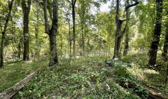 Bolivar Road, Benoit, MS 38725