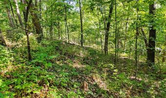 Kirkpatrick, Bella Vista, AR 72715