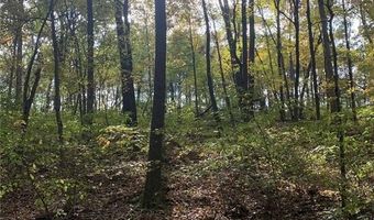 119 Coyote Crest Ln, Augusta, MO 63332