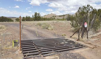 88 B County Road 5035, Concho, AZ 85924