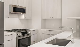 101 Willits Way 202, Basalt, CO 81621