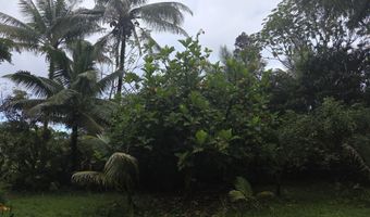 15-1788 8TH Ave, Keaau, HI 96749