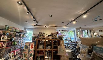 635 E Cooper Ave, Aspen, CO 81611