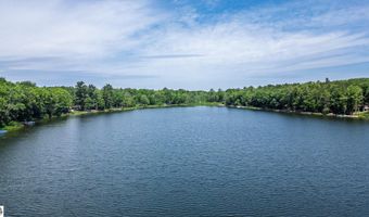 7105 SE Torch Lake Dr, Alden, MI 49612