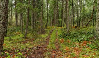 Upper Cow Creek Road, Azalea, OR 97410
