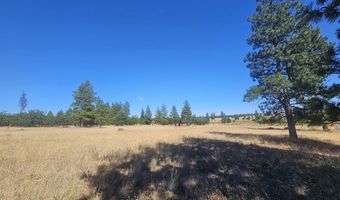 67 TIMBER Ln, Bickleton, WA 99322