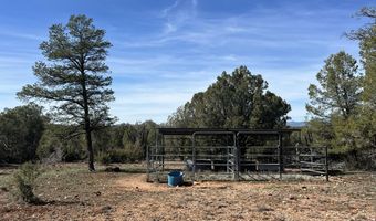 5 Deer Droppings, Ash Fork, AZ 86320
