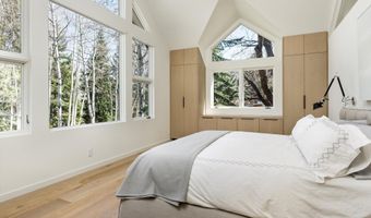 725 Castle Creek Dr, Aspen, CO 81611