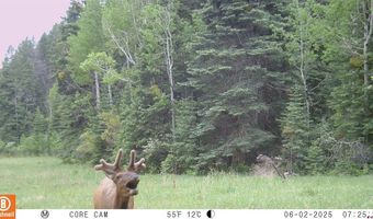 15098 CR 240, Bayfield, CO 81122