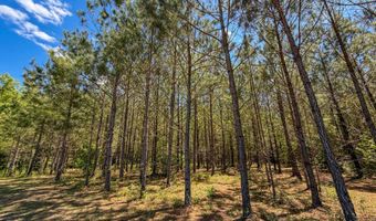 7072 Brooklyn Rd, Andalusia, AL 36421