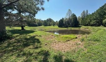 540 Rolling Oak Dr, Big Sandy, TN 38221