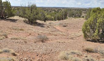 138 Jeff Lake Rd (CR N9230), Concho, AZ 85924