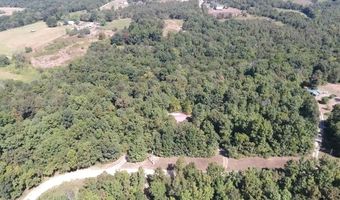 951 E County Road 206, Alton, MO 65606