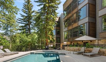 728 S Galena St 202-B, Aspen, CO 81611