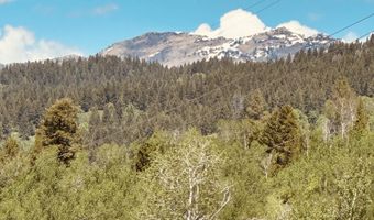 MARTEN Place, Alpine, WY 83128