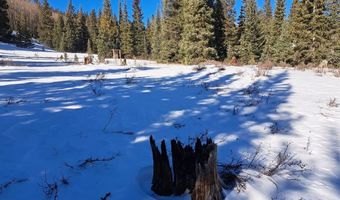 3553 RIVER Dr, Alma, CO 80420