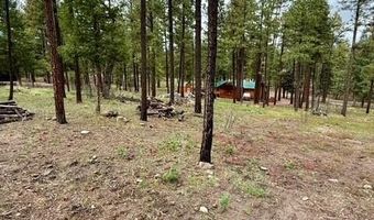 7 Eric Ln, Alpine, AZ 85920
